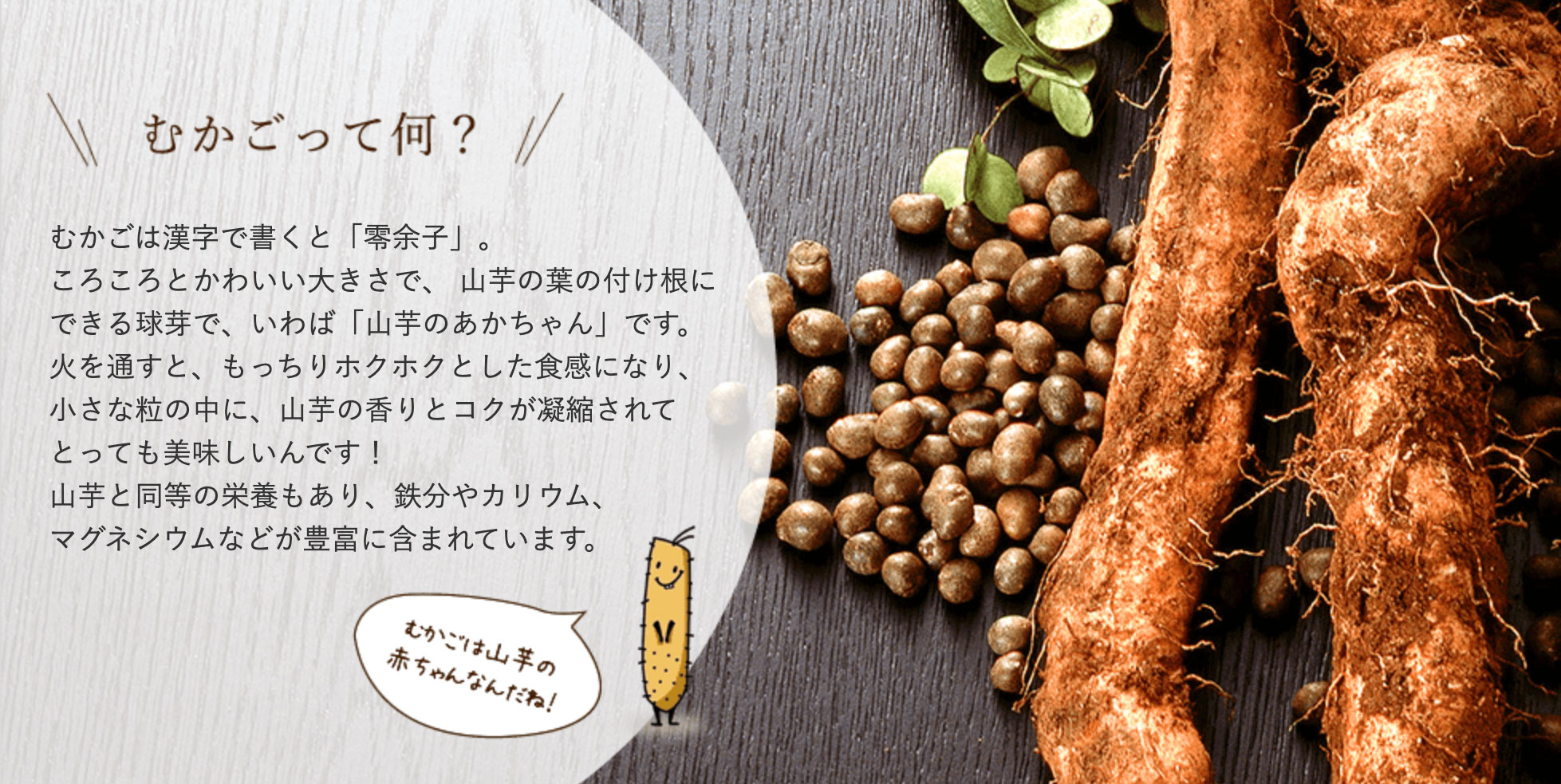 贅沢ちまきと自然薯のセット 自然薯とろろとむかごちまきセット むかごちまきのセット 1g 3 自然薯とろろ 60g 3 自然薯王国